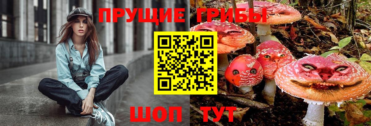 Псилоцибиновые грибы Cubensis Воскресенск