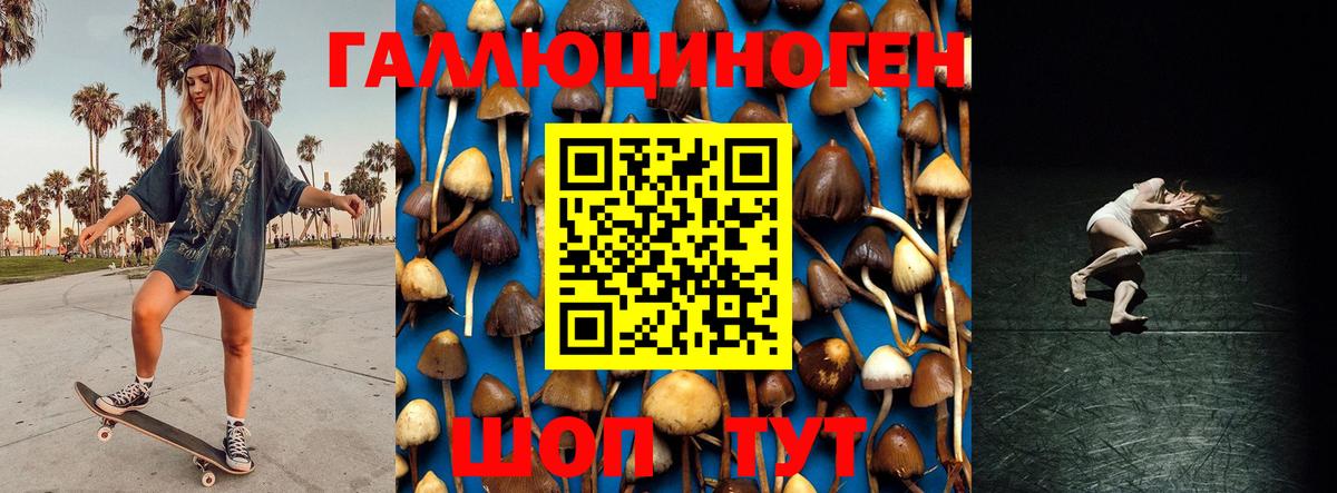 Псилоцибиновые грибы Cubensis  Вход с VPN  Воскресенск 
